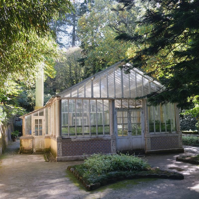 ������� ����a ����: ������� ��������� ������