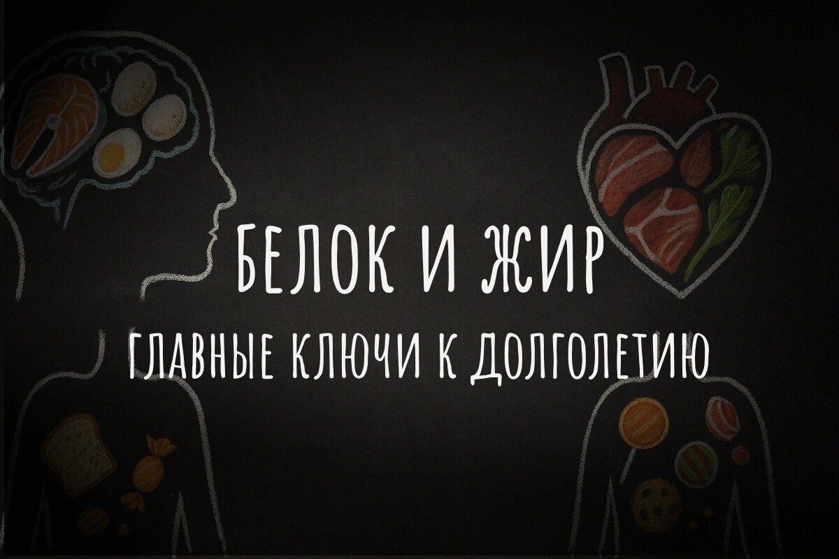 �������� ��������: ���� � �������� � �������