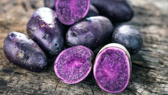 ���������: ���� �������� � ��� ������������ �����