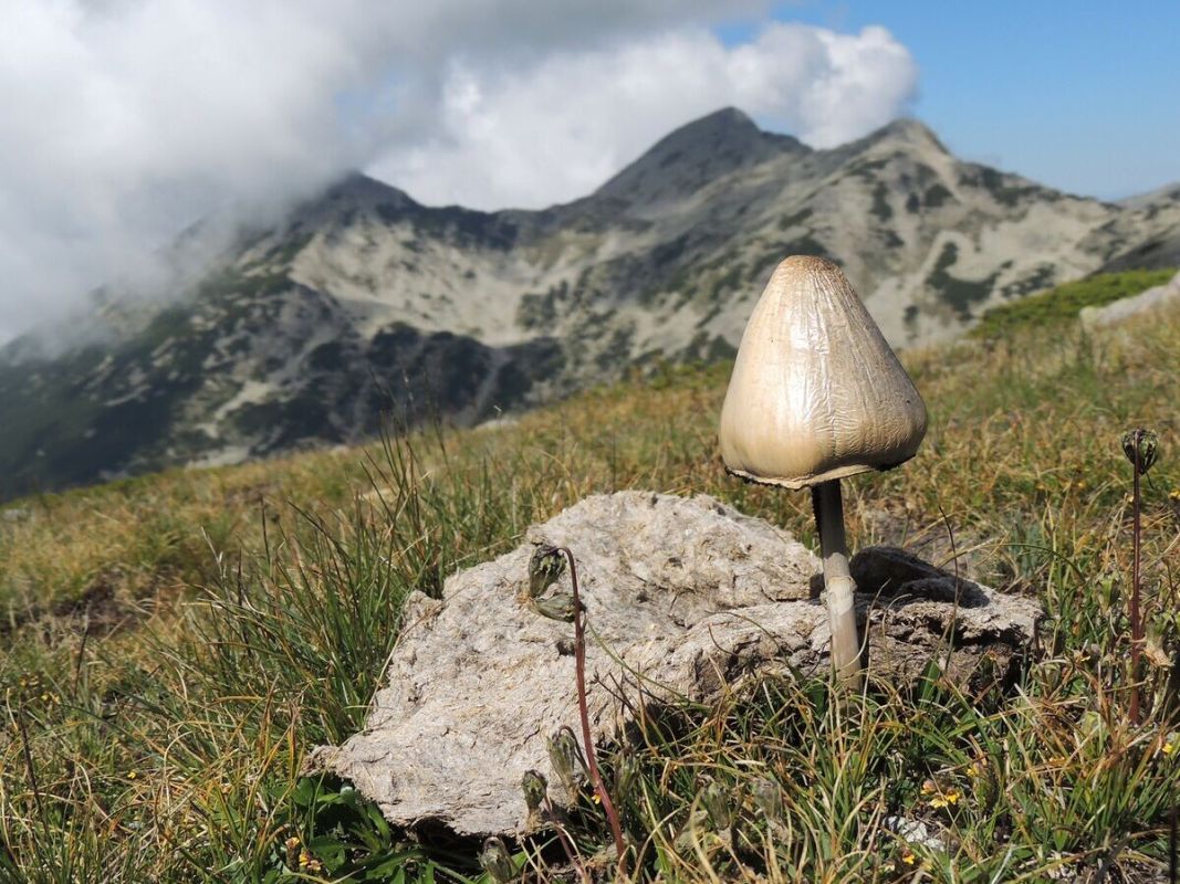 ���������� ������ ���������� � ������ � ���������� � �����