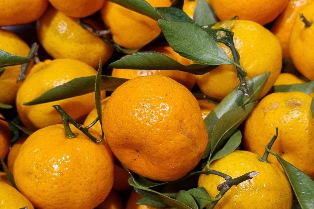 Как выбрать идеальные мандарины: советы эксперта