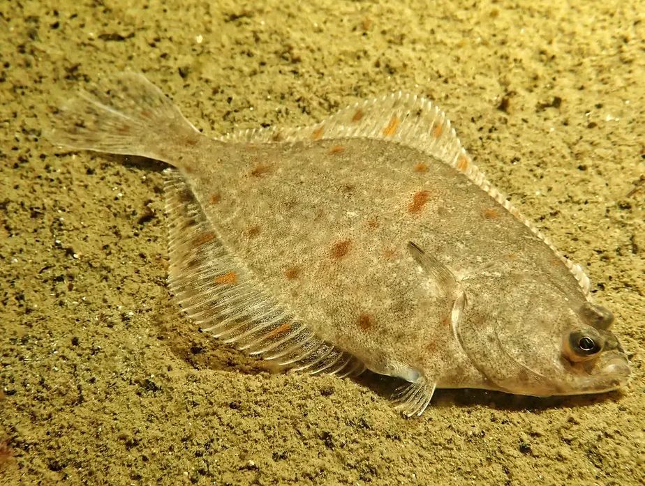 �������: ������������ ������ ���������� � ����� � ������� ��������