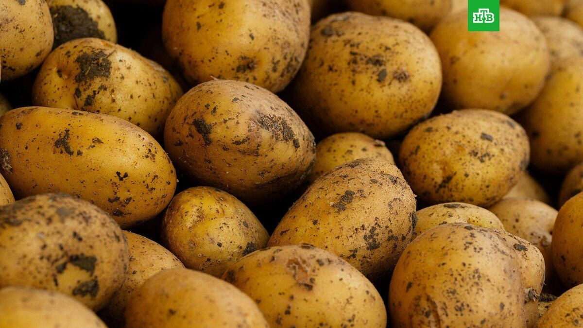 ������ ������������� ��������� ������ �� ���� ������� � ������������ ������� ��������� �����