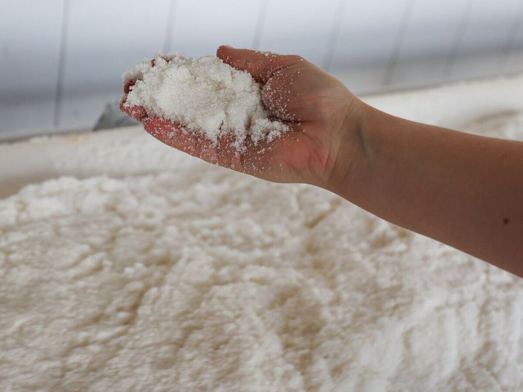 ��anol � �����: ��� �������� ������ � �������� ������ �� ���� �� ����� � �� ��� �����������