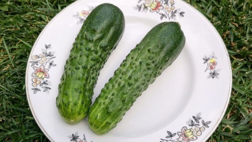 7 ��������� ������ �������, � ������� ����� ����� ������� ����������