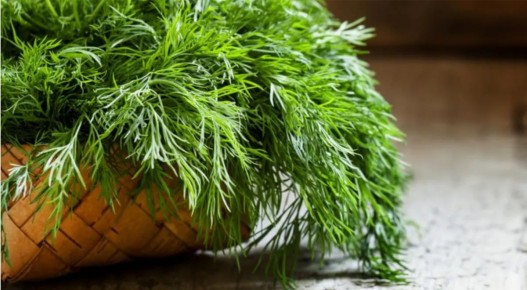 ����� � ����� �����: ��� ������� ������ ���������� � ���������� �����