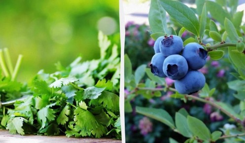 9 ��������, ������������ ��� ������� ������: �������� ������� ���������