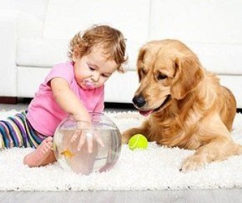 ��� ������ � ������� �������� ������: ������ ��� ���������