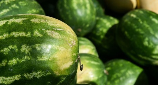 ��� ������� �������� ������� �����: ������� � ������ ������