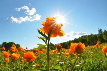 ������ ��������� ���: ��� ������� ��������� �������� ��� ����