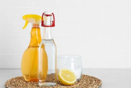 ��������� ������: ��� �� ����� ������� ���� ������������� ���������