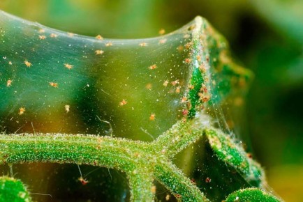 ��� ���������� ���������� �� ���������� ����� ��� �����