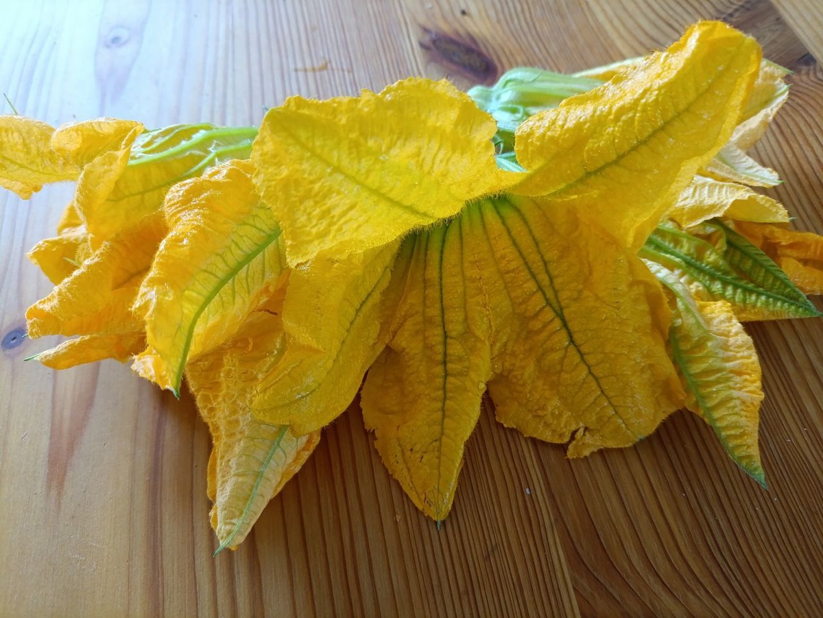 Кулинарные эксперименты: жареные цветы кабачков на вашем столе