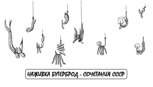 Классика рыбалки: секреты успешного 'бутерброда' на крючке