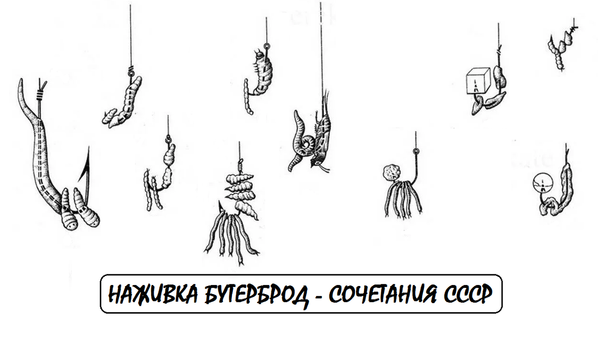 Классика рыбалки: секреты успешного 'бутерброда' на крючке