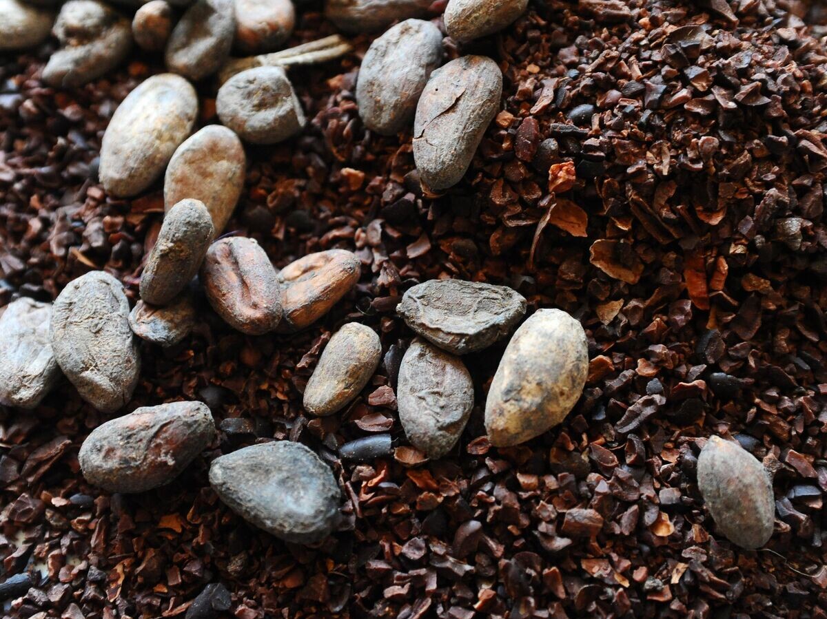 Какао-бобы опускаются ниже 3900 долларов за тонну