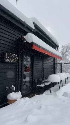 Праздничная магия на винодельне в новом формате