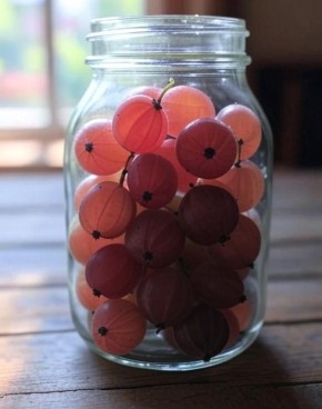 Вкусные рецепты из крыжовника: от варенья до морса с полезными советами