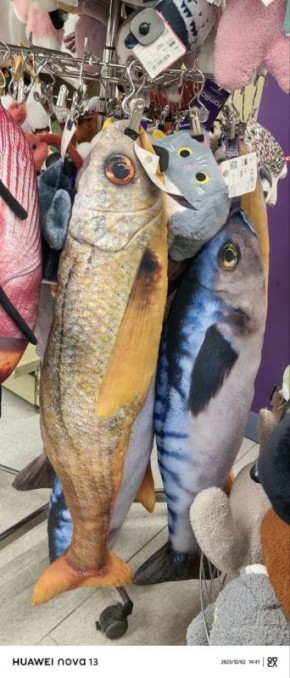 ����������� �� ������: ��� ������� ��������� ����