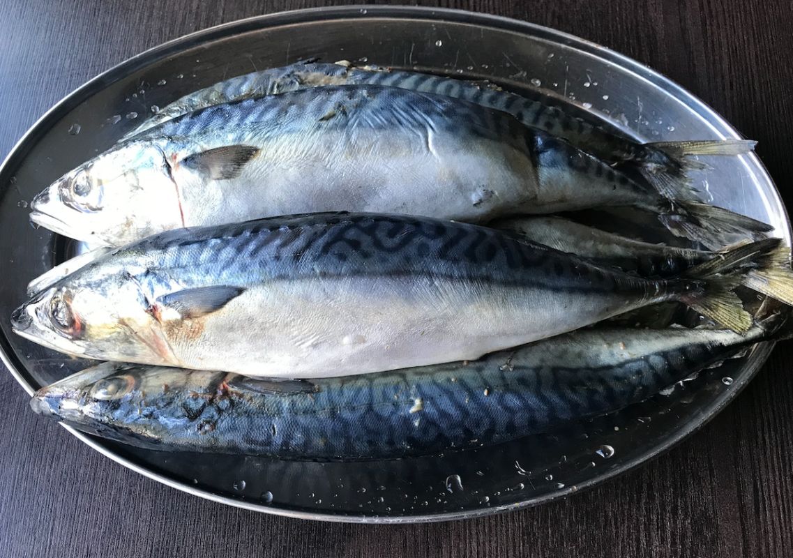 ������� �������� ��������: ������� ������ ��� ������ �����