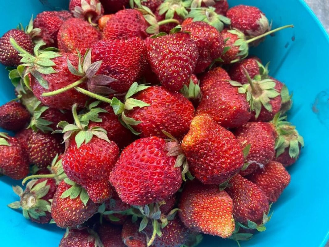 ����� �� ���� ��� ������ � �����