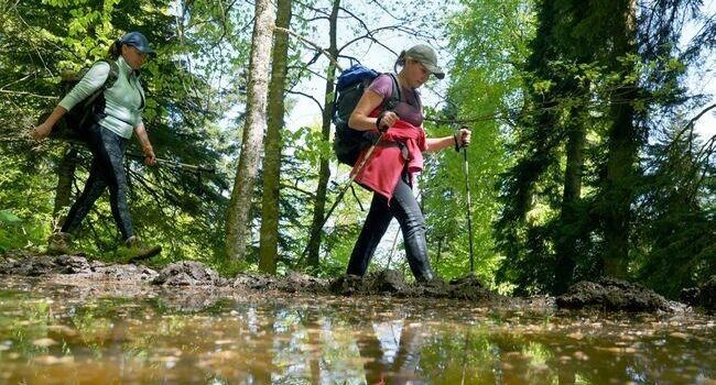 ����������� � ������� �������������� ������ � ������