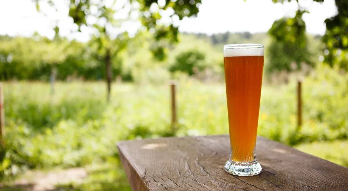 ������ �� ���� ����� �������� ����� � �����