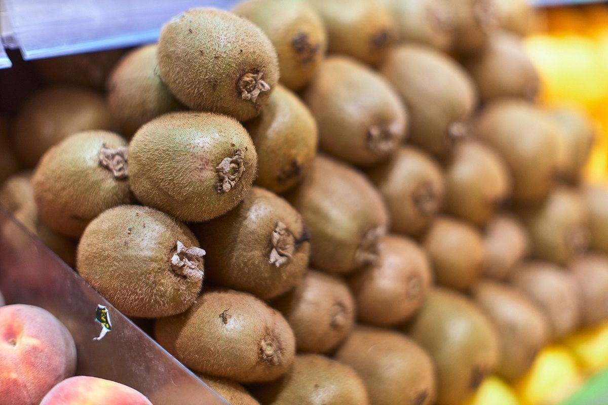 ��� ���� ����� �������� ���� ��������