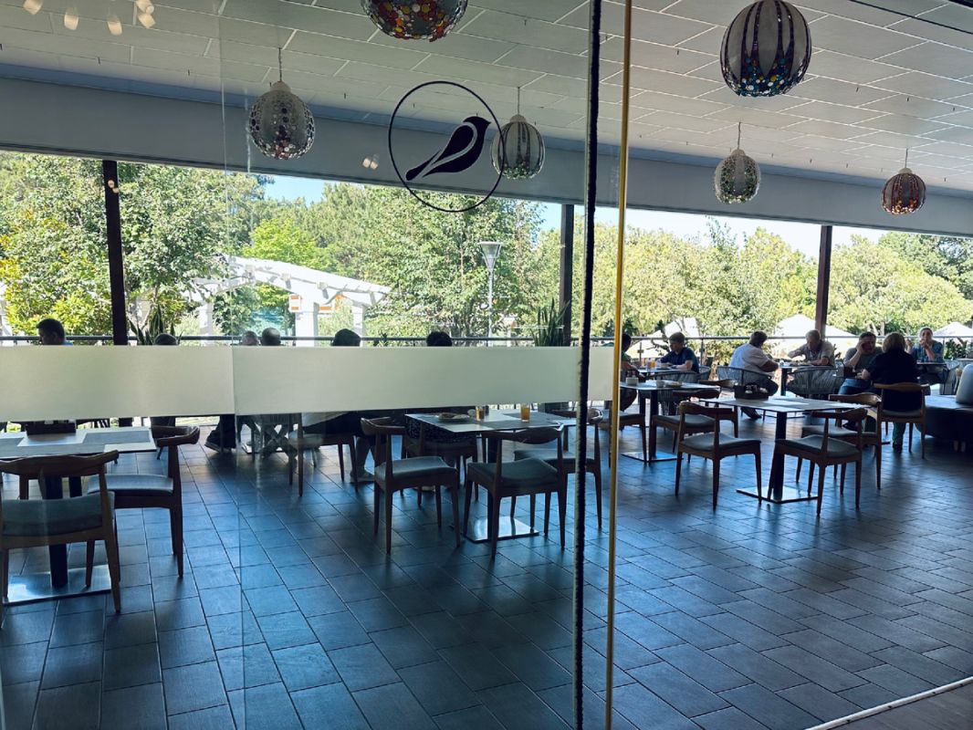 ���������� ����������� �� ��������� �������� �����: ����� �� 29 ����� � �����?