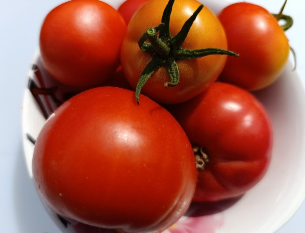 ��������� �������� ��� ������: �������� �� ���?