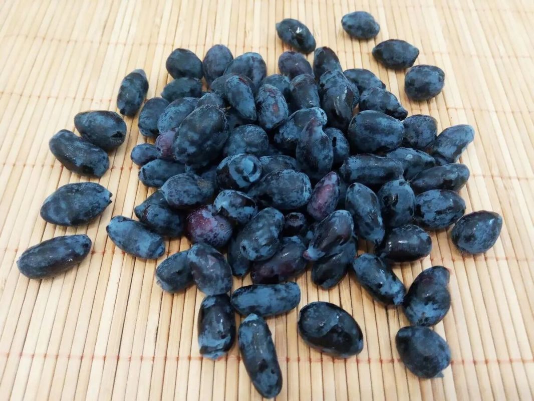 ���������: ������ ����� �������� �� �� ��������