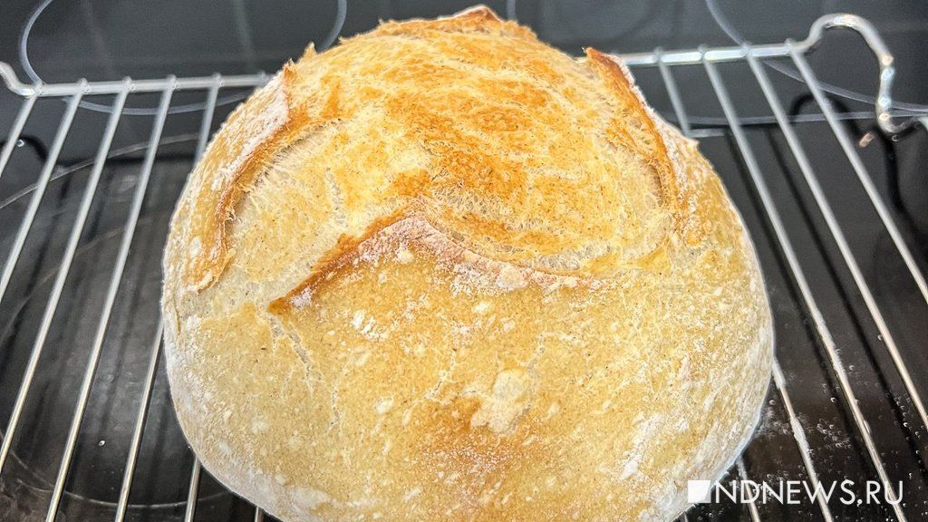 ������� ����: �������� � �������� 6 �������