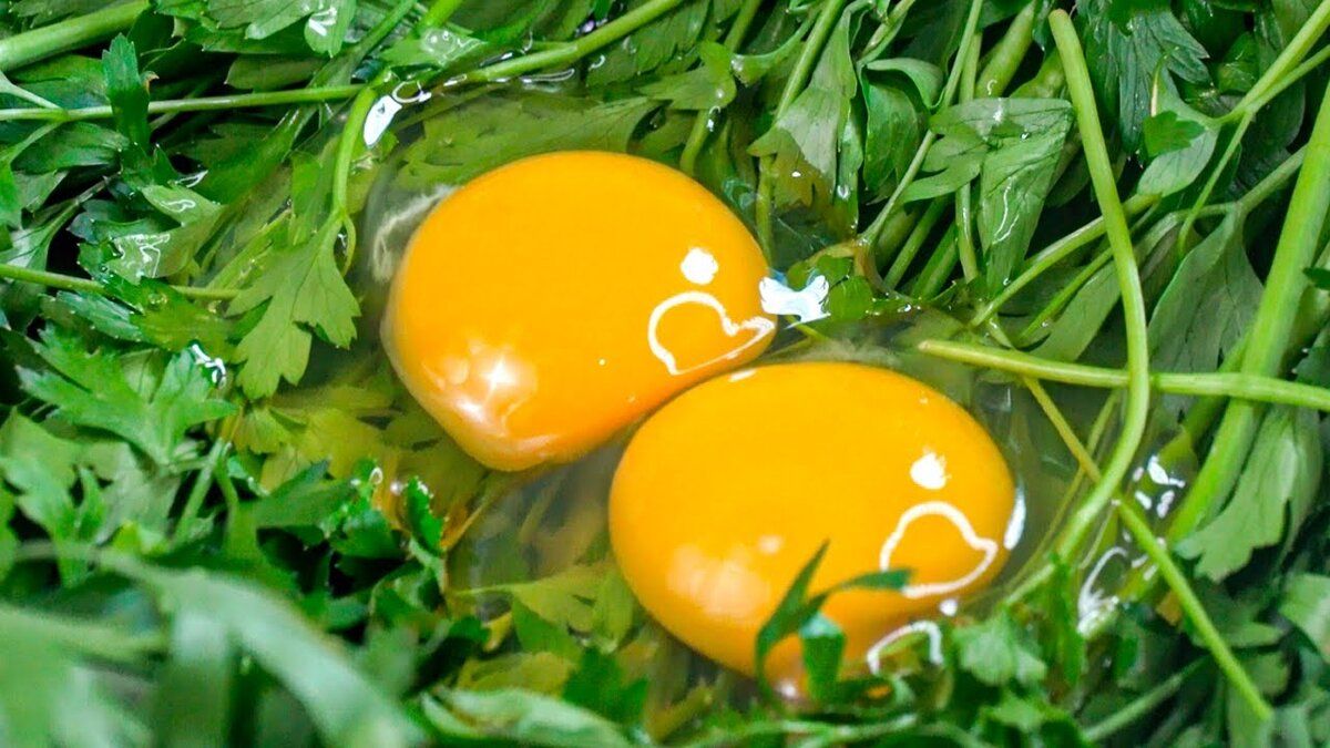 ����������� ������ ������ � ���������: ������� � ������� ����