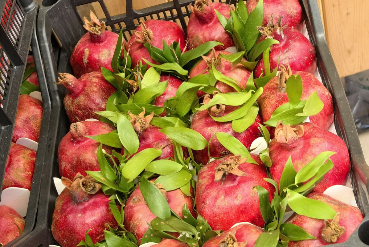 ������ � ��������� ������ ����� ��� �������� � ����������