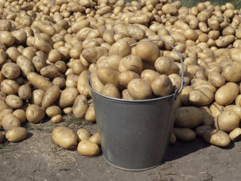 ��� ��������� ������: ������ �� �������� ��������� � ������� �� �����