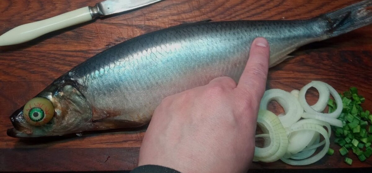 Молоки рыбы: деликатес или пищевой мусор?