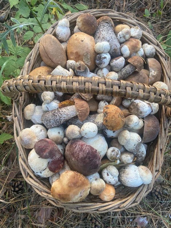 ��� ����� ��������� ������� ������� � ���� ������