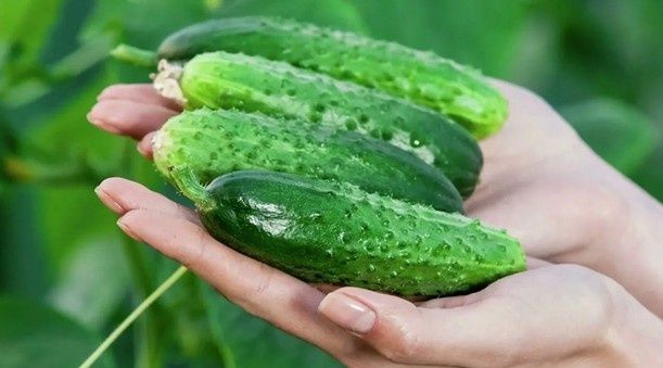 ����� �� ������� �� ����: ������ �������� � ������ �������