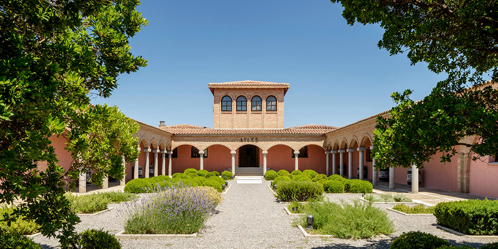 Тайны винодельни Pago Ayles: от монашеского наследия до современного успеха