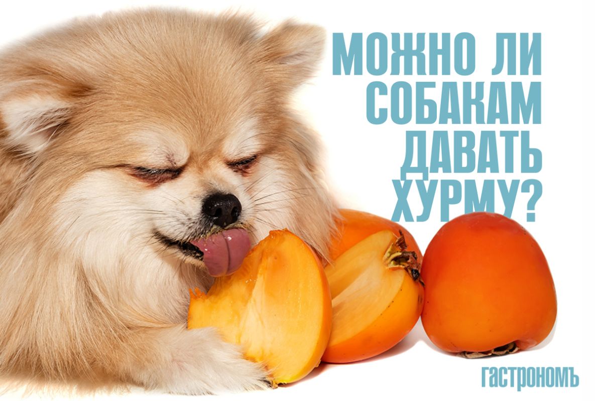 ����� �� ������� �����: ������� ��� ������?