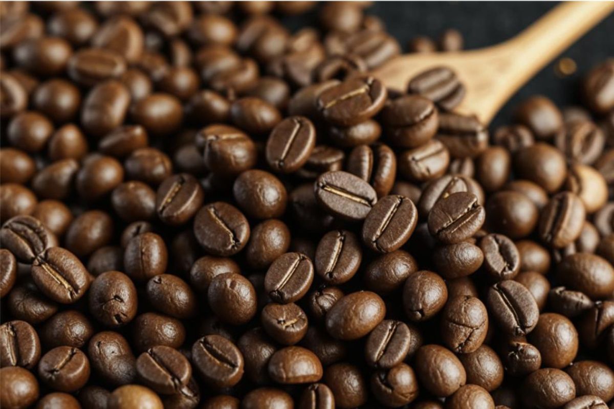 ������ � ������: ����� ������ � ����������� �����������