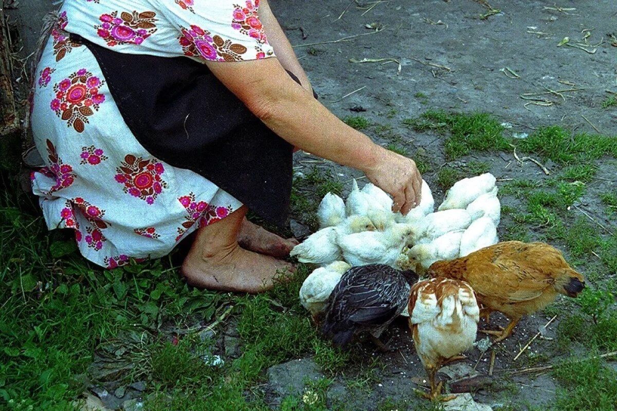 �� ���������� ������� � ����� ��������� 25 ���� �����