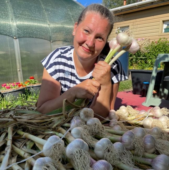 ������� ����������� �������� ������� �����