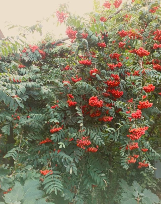 ������: ������������� ����� ��� ������� ������������ � ���������� �������������