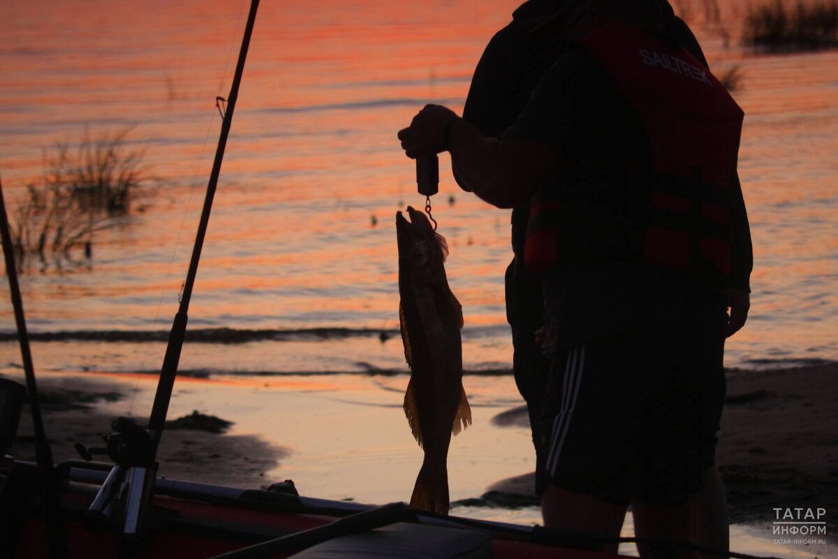 ���� �� ���� � ������ ������ ��-�� ������� � ������������