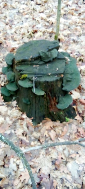 �������� ���������: ������� ����������� �������� ��������� �������