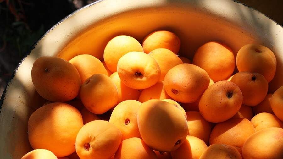 ���������� ����������� � ������� ����: ����������� ��������� ������� ��������