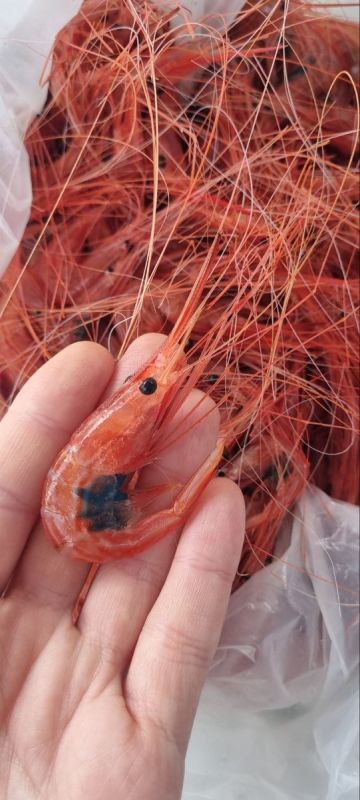 �������: ����, ����������� ������ ����������