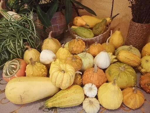 ����� ��� �����������: ������� ����������� � ������������ �������