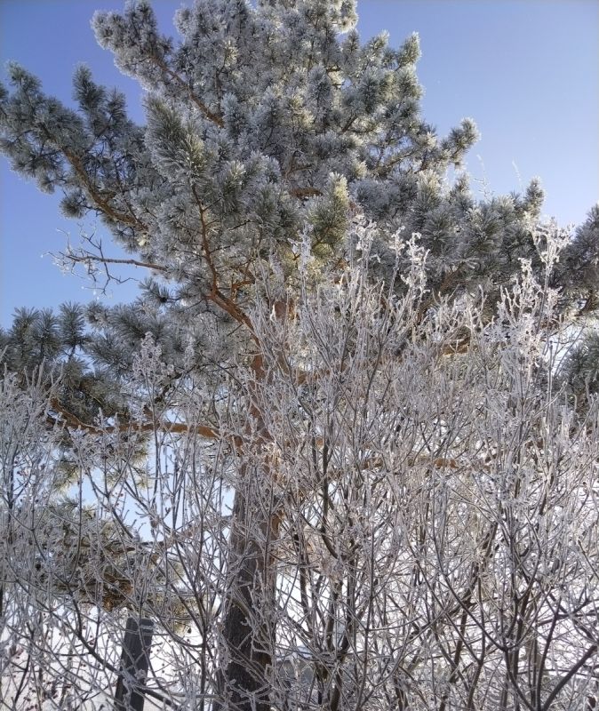 ��� �������� ��� ����������� ���������